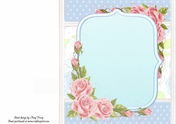 Beautiful Blue & Pink Shabby Chic Blank Insert