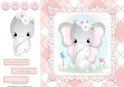Gorgeous Baby Girl Elephants  8x8