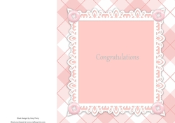 Beautiful Pink & White Insert 8x8