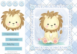 Gorgeous Baby Boy Lion 8x8