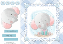 Gorgeous Baby Boy Elephant With Present 8x8