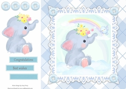 Gorgeous Baby Boy Elephant With Rainbow 8x8