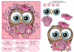 Pretty In Pink Flowers Blue eyed owl 6x6