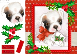 Gorgeous Dog With Holly 8x8