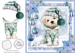 Adorable Dog With A Hat 8x8
