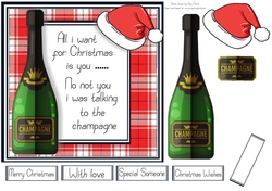All i want for Christmas is you ....... Champagne 7x7