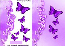 Beautiful Purple Butterflies