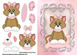 Cute Princess Brown Cat
