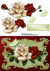 Lovely Cream & Red Rose's