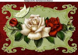 Lovely Cream & Red Rose's A4