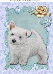 Cute Westie Puppy A4