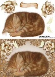 Cute Ginger Kitten in Gold Frame