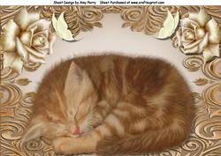 Cute Ginger Kitten in Gold Frame A4