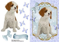 Cute Cavalier with Butterflies