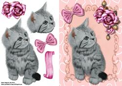Cute Fluffy Grey Kitten
