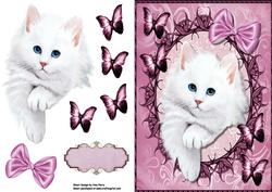 Lovely White Fluffy Kitten