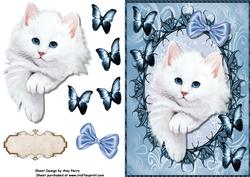 Adorable White Fluffy Cat