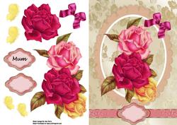 Colourful Roses