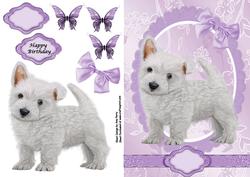 Cute Westie Puppy