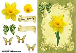Lovely Single Daffodil