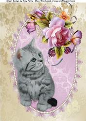 Gorgeous Grey Kitten with English Roses A4