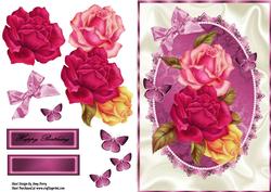 Beautiful Multicoloured Roses