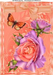 Beautiful Peach & Lilac Rose's A4