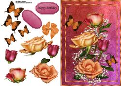 Beautiful Peach & Red Rose's A4