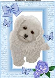 Beautiful Fluffy White Puppy A4