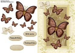 Beautiful Brown Butterflies