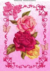 Beautiful Pink, Hot Pink & Yellow Rose's A4