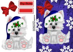Adorable Fluffy Puppy with Dark Blue Santa Hat