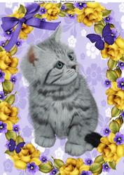Lovely Grey Cat in Yellow Rose Frame A4