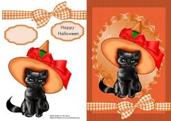 Black Cat with Orange Hat