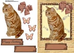 Cute Ginger Cat