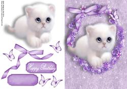 Gorgeous Fluffy White Kitten in Purple Floral Frame