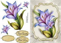 Beautiful Blue Lilly