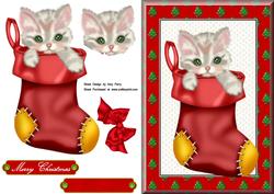 Cute Kitten in Red Stocking