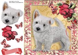 White Westie Dog with Red Roses 8x8