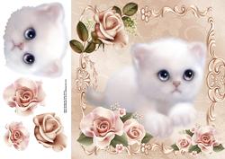 Fluffy White Kitten with Beautiful Pink Roses 8x8