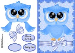 Baby Blue Owl