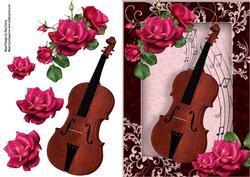 Beautiful Hot Pink Roses with Violin