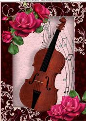 Beautiful Hot Pink Roses with Violin A4