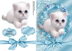 Gorgeous White Fluffy Kitten