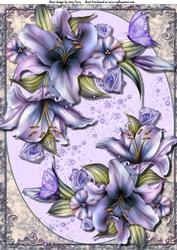 Beautiful Blue Lilly's A4