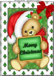 Cuddly Christmas Bear A4