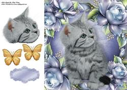 Beautiful Grey Cat in Blue Roses 8x8