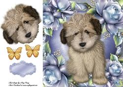 Cute Brown Shaggy Dog in Blue Roses 8x8