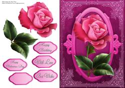 Beautiful Single Pink Rose
