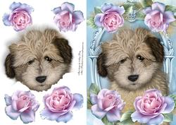 Adorable Shaggy Dog in Roses